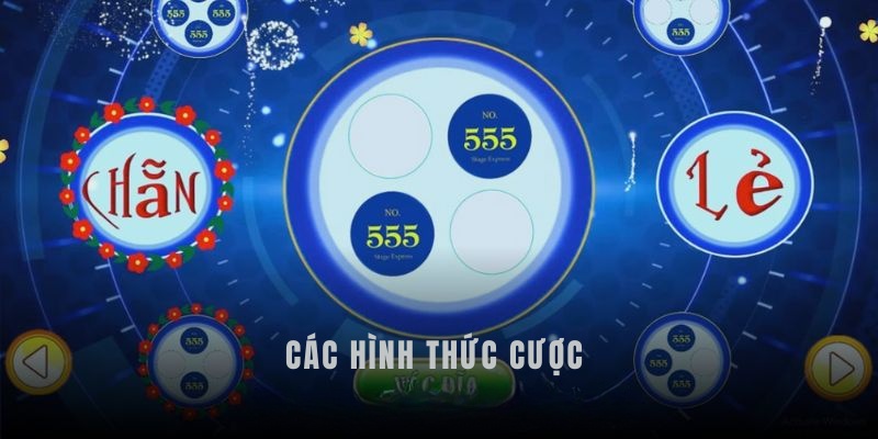 3 hình thức cược phổ biến tại nhà cái