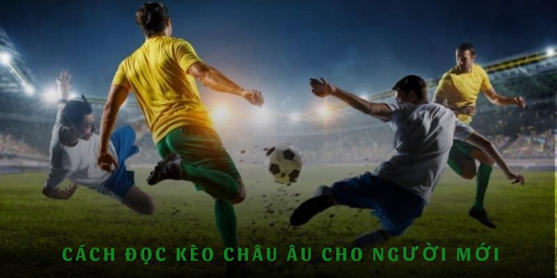 Cách đọc kèo Châu Âu cho người mới lẫn cược thủ kỳ cựu