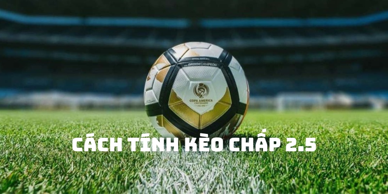Cách tính kèo chấp 2.5 cơ bản nhất cho tân thủ