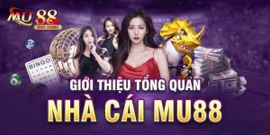 giới thiệu mu88