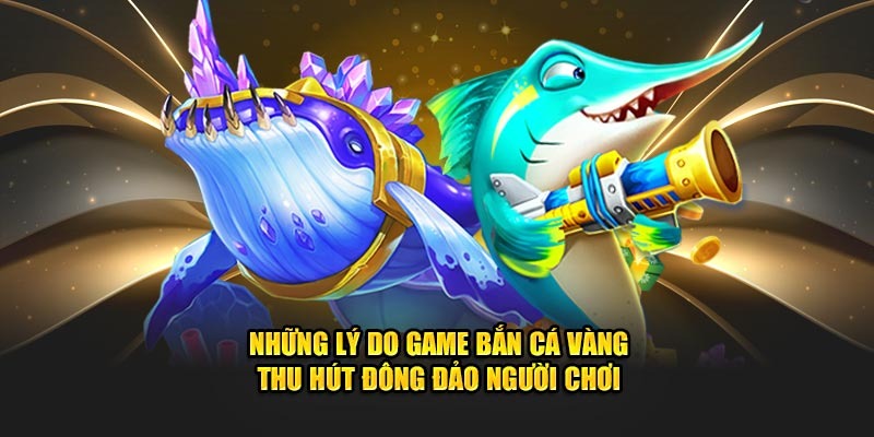 Lý do săn cá vàng luôn ăn khách nhất thị trường