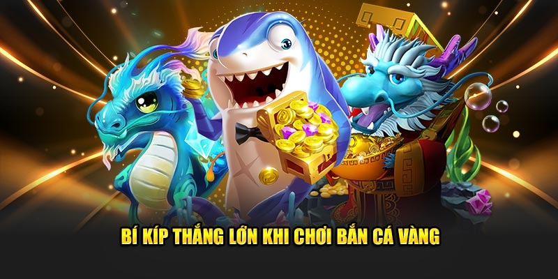 Mẹo chơi săn cá vàng chuẩn không cần chỉnh
