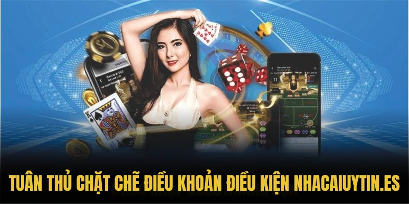 Những lý do thiết yếu để bạn tuân thủ chặt chẽ điều khoản điều kiện nhacaiuytin.es